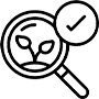 Organic search marketing