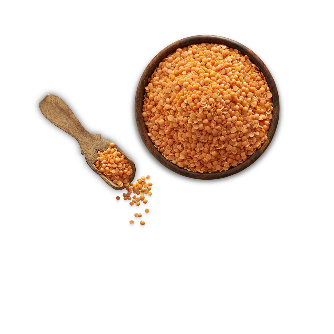 Masoor Dal