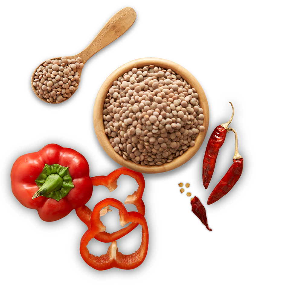 Lentils & Harissa